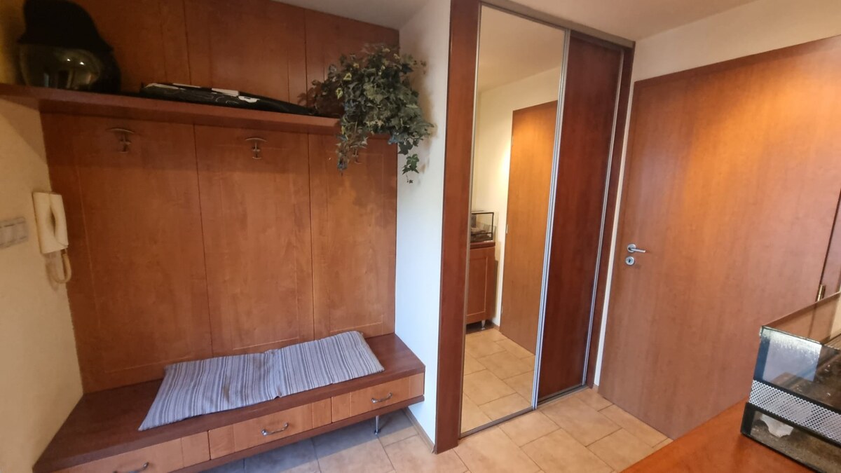 RD Svätoplukovo,  10 á. pozemkom REZERVÁCIA — foto 6