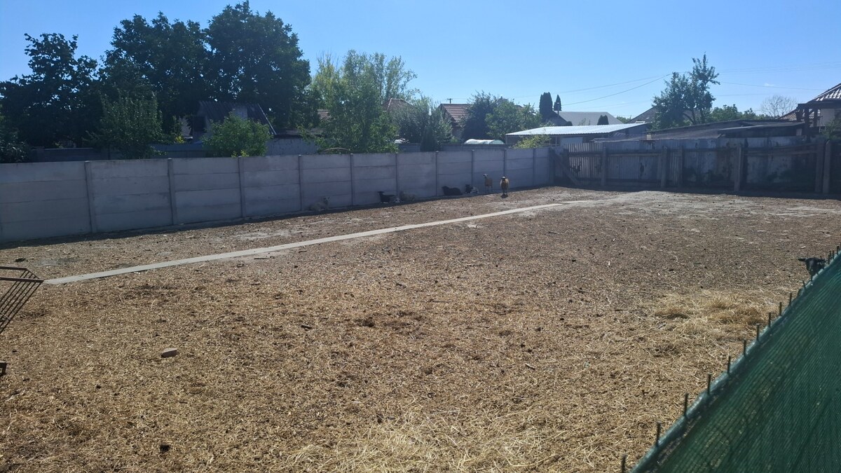 Veľký RD v obci Veľké Kosihy okres Komárno — foto 22