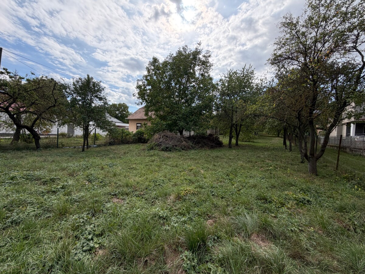Usadlosť chalupa v 51 árovým pozemkom Norovce — foto 12