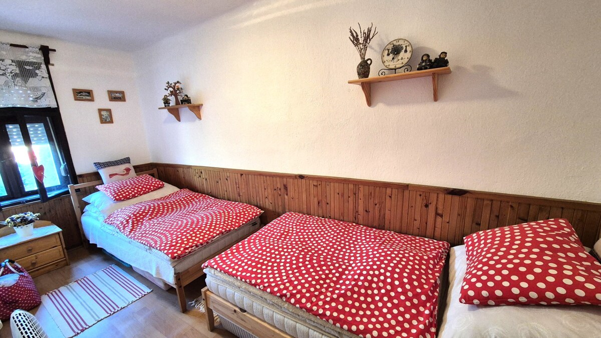 Chalupa - dom - Tesáre, okr. Topoľčany — foto 13