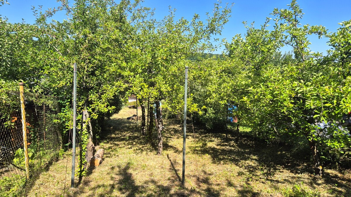 Chalupa - dom - Tesáre, okr. Topoľčany — foto 8
