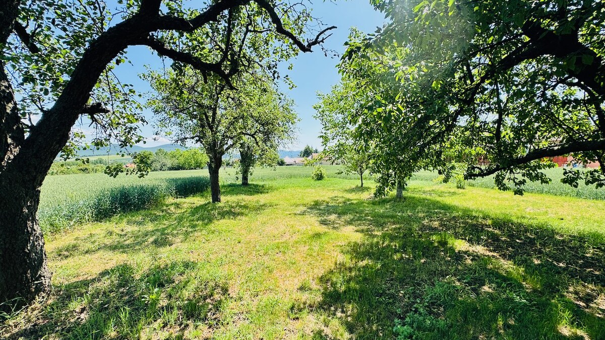Na predaj stavebný pozemok 1678 m2 Bošany - Baštín 40 m x 42 m — foto 4
