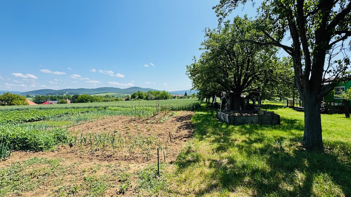 Na predaj stavebný pozemok 1678 m2 Bošany - Baštín 40 m x 42 m — foto 8