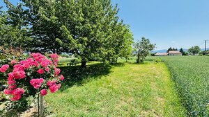 Na predaj stavebný pozemok 1678 m2 Bošany - Baštín 40 m x 42 m — foto 1