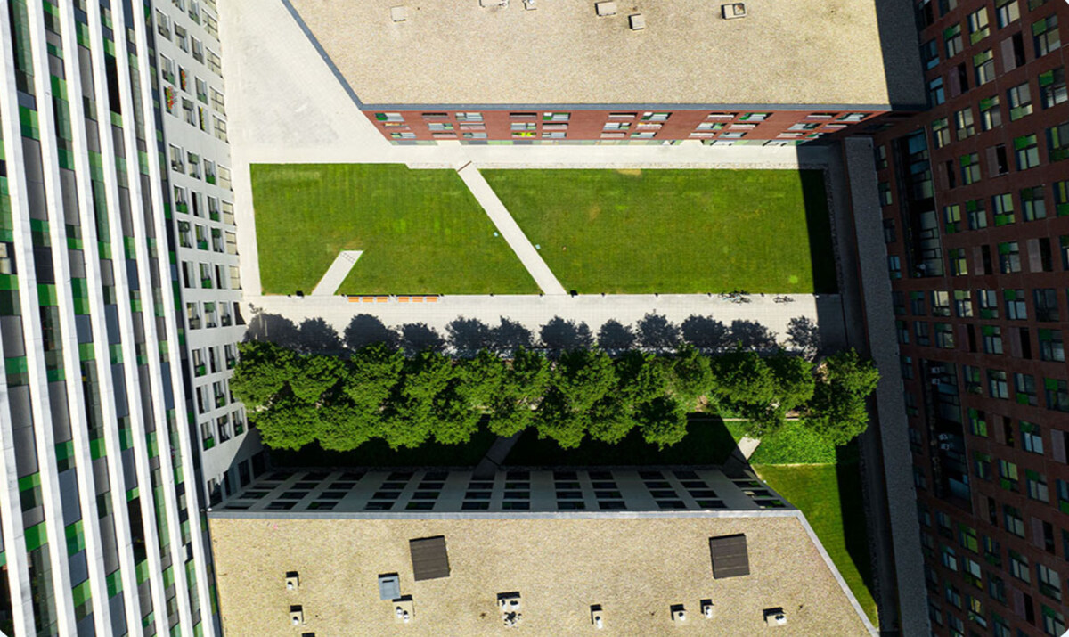 Reprezentatívne priestory 360m2, Viktória, Nivy — foto 4