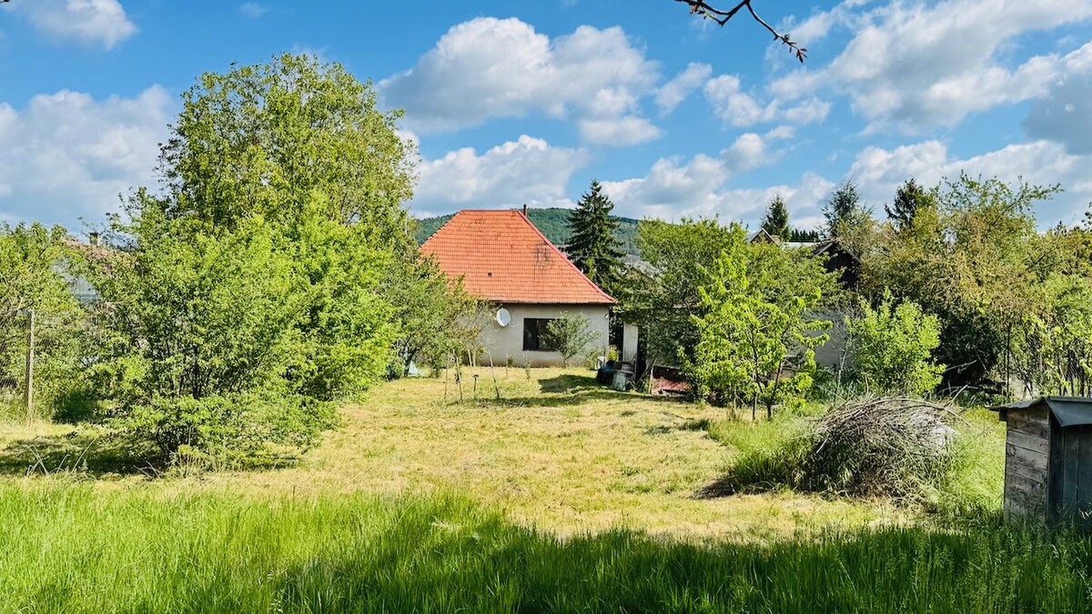Na predaj 6-izbový rodinný dom (dvojdom) v Pažiti, pozemok 1445 m² — foto 5