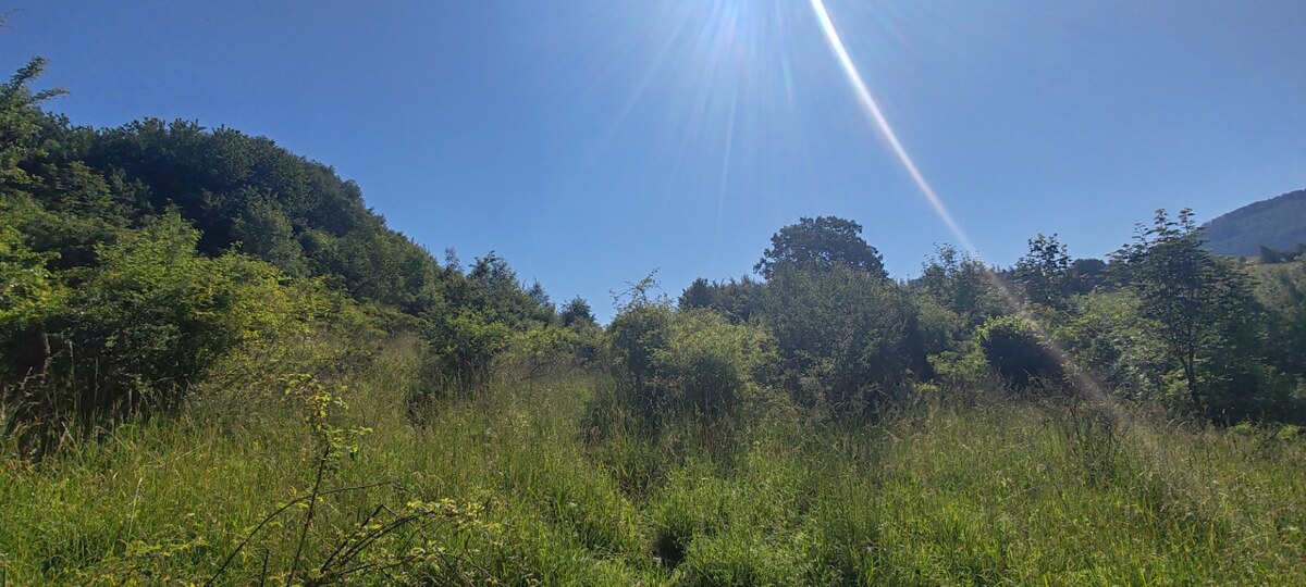 Slnečný pozemok 7 928 m² v Hornom Vadičove s výnimočným potenciálom — foto 2