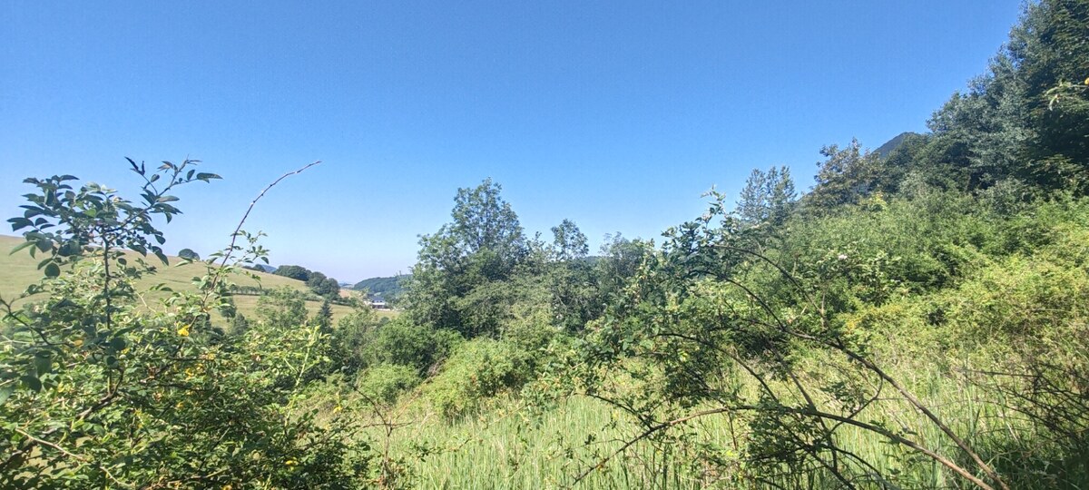 Slnečný pozemok 7 928 m² v Hornom Vadičove s výnimočným potenciálom — foto 3