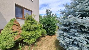 4. izb. RD Čakajovce pri Nitre — foto 6