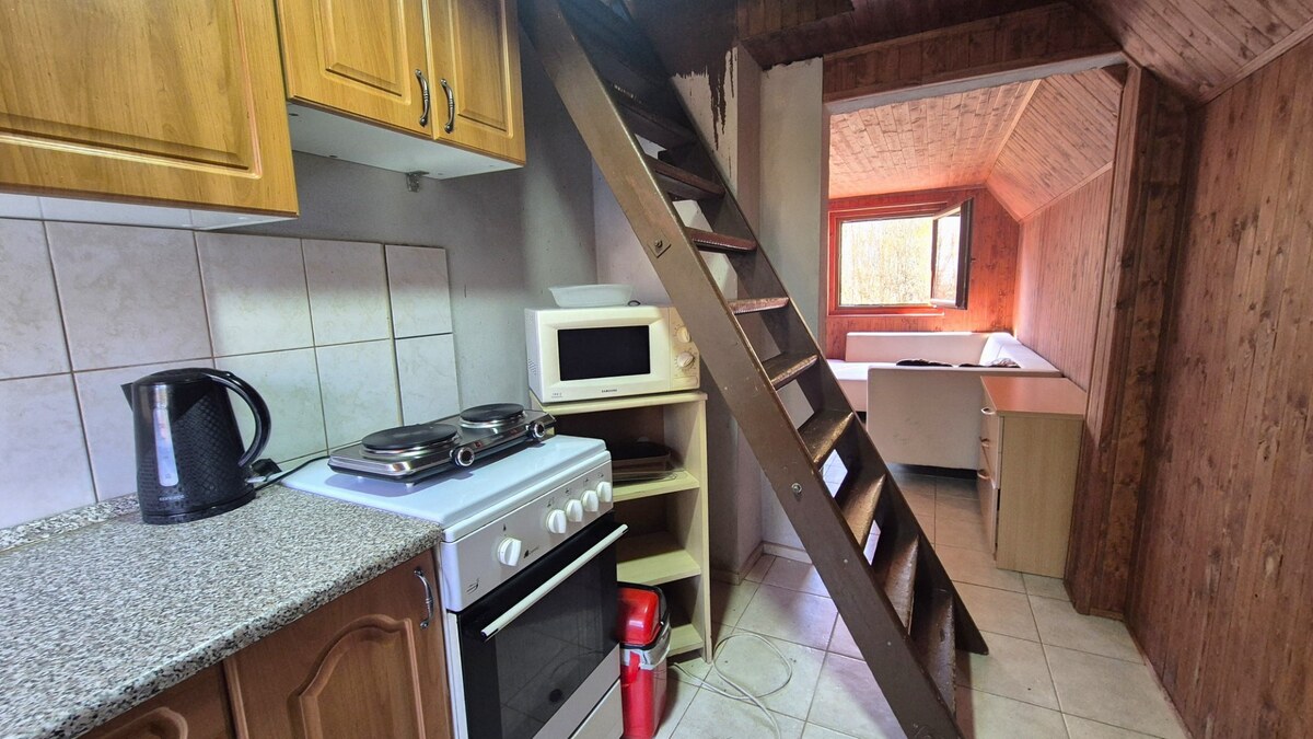 Chata Duchonka - Prašice, predaj - zľava — foto 12