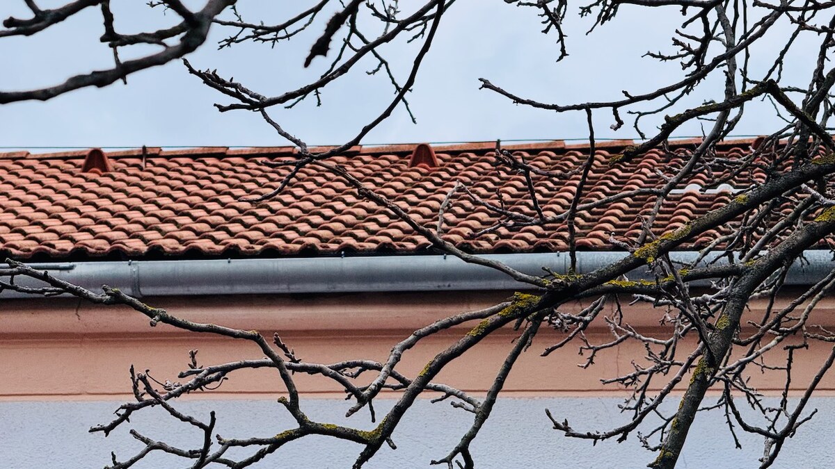 Na predaj 3 i byt so záhradou v Partizánskom – centrum — foto 4