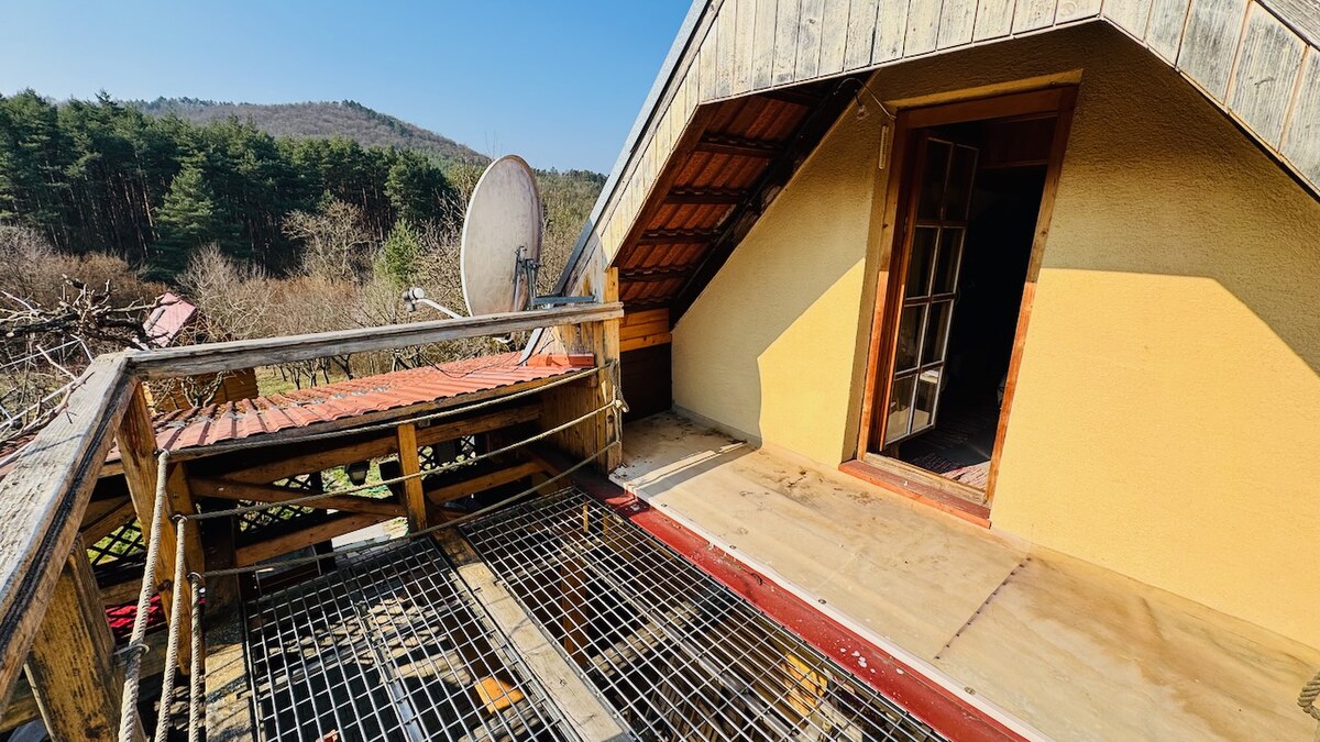 Na predaj 2 chalupy a 1 chatka Horná Ves – Pacov - pozemky 1488 m2 — foto 24