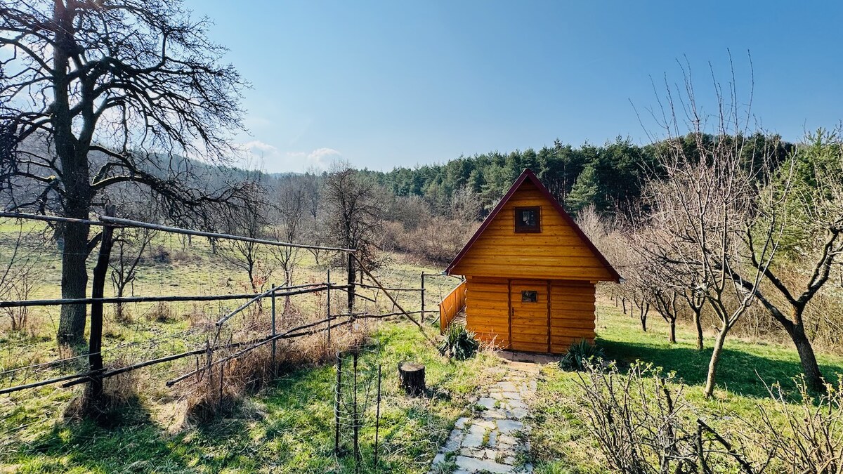 Na predaj 2 chalupy a 1 chatka Horná Ves – Pacov - pozemky 1488 m2 — foto 40