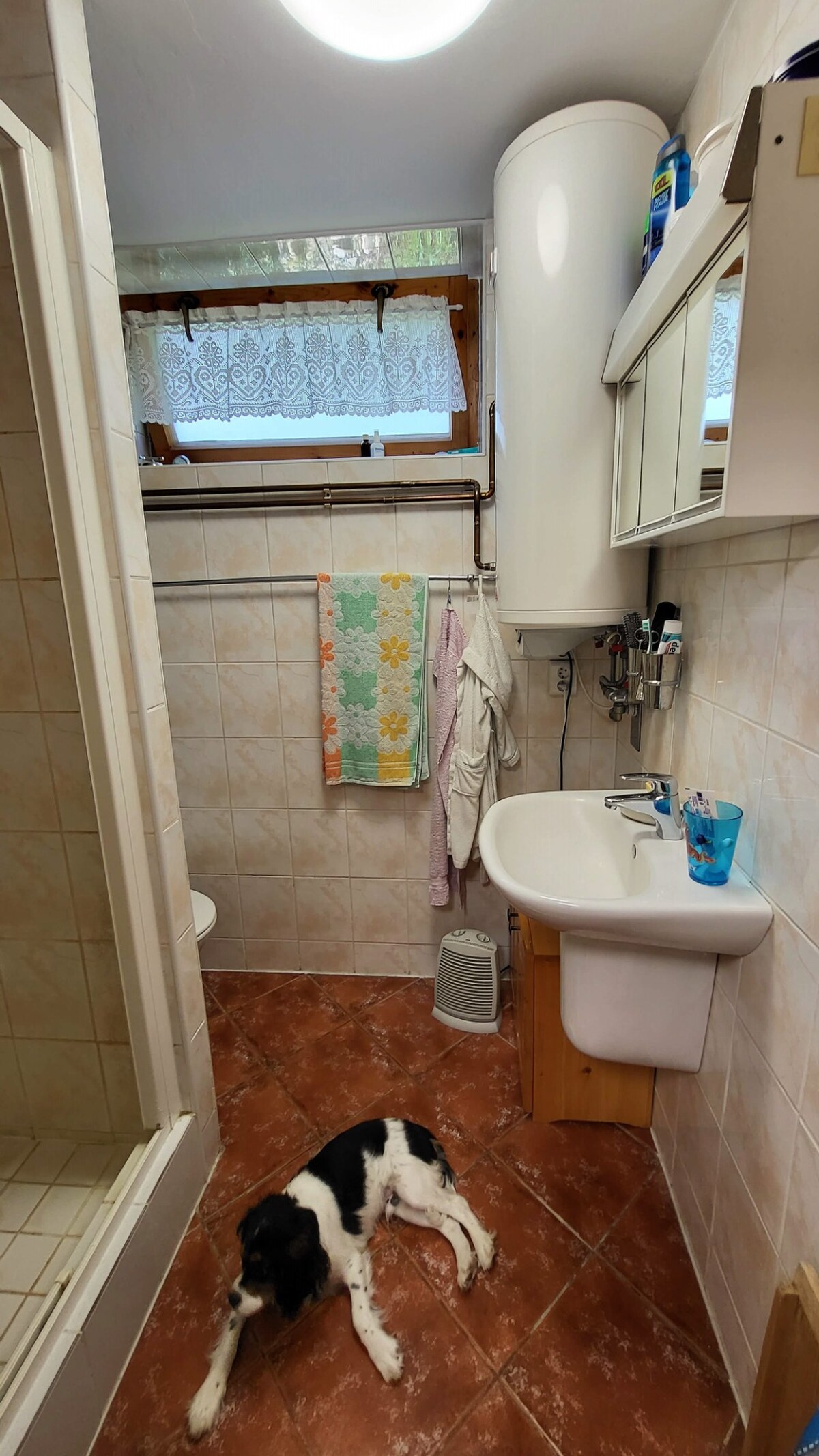 Chata Nemečky - okr. Topoľčany — foto 15