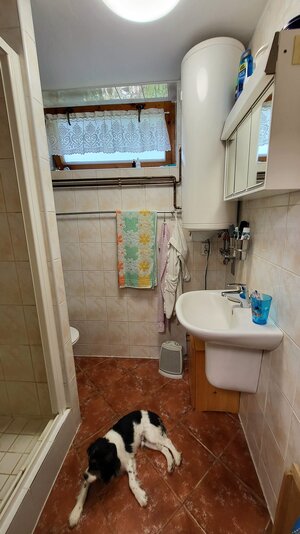 Chata Nemečky - okr. Topoľčany — foto 15