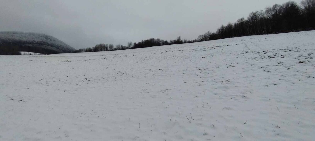 Pozemok na rekreáciu, Horný Vadičov — foto 2