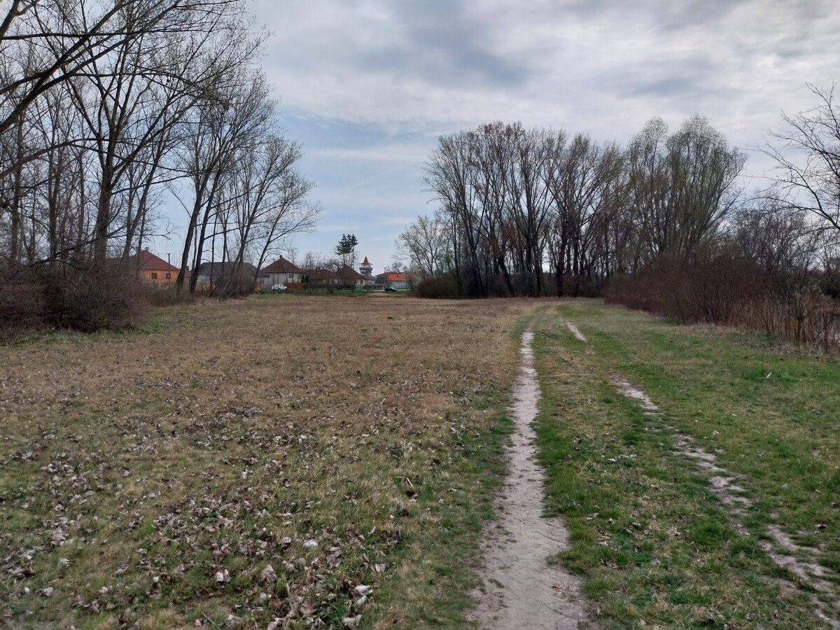 Rovinatý pozemok  17.000 m2 V. Kosihy (Komárno) — foto 4