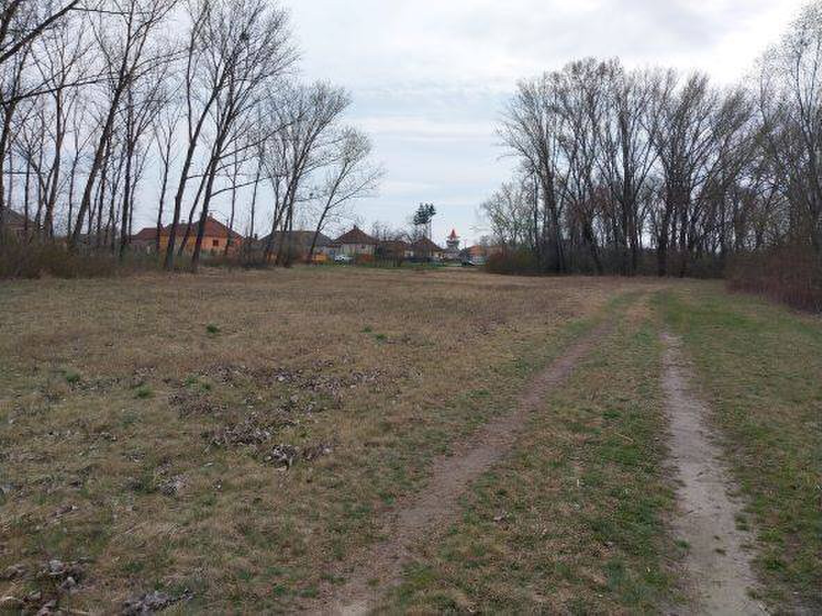 Rovinatý pozemok  17.000 m2 V. Kosihy (Komárno) — foto 5
