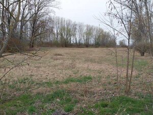 Rovinatý pozemok  17.000 m2 V. Kosihy (Komárno) — foto 1