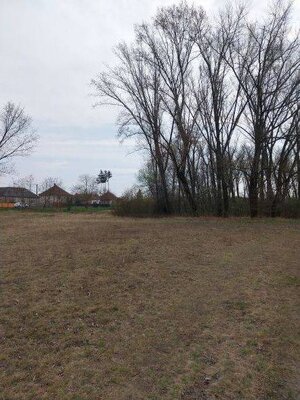 Rovinatý pozemok  17.000 m2 V. Kosihy (Komárno) — foto 3