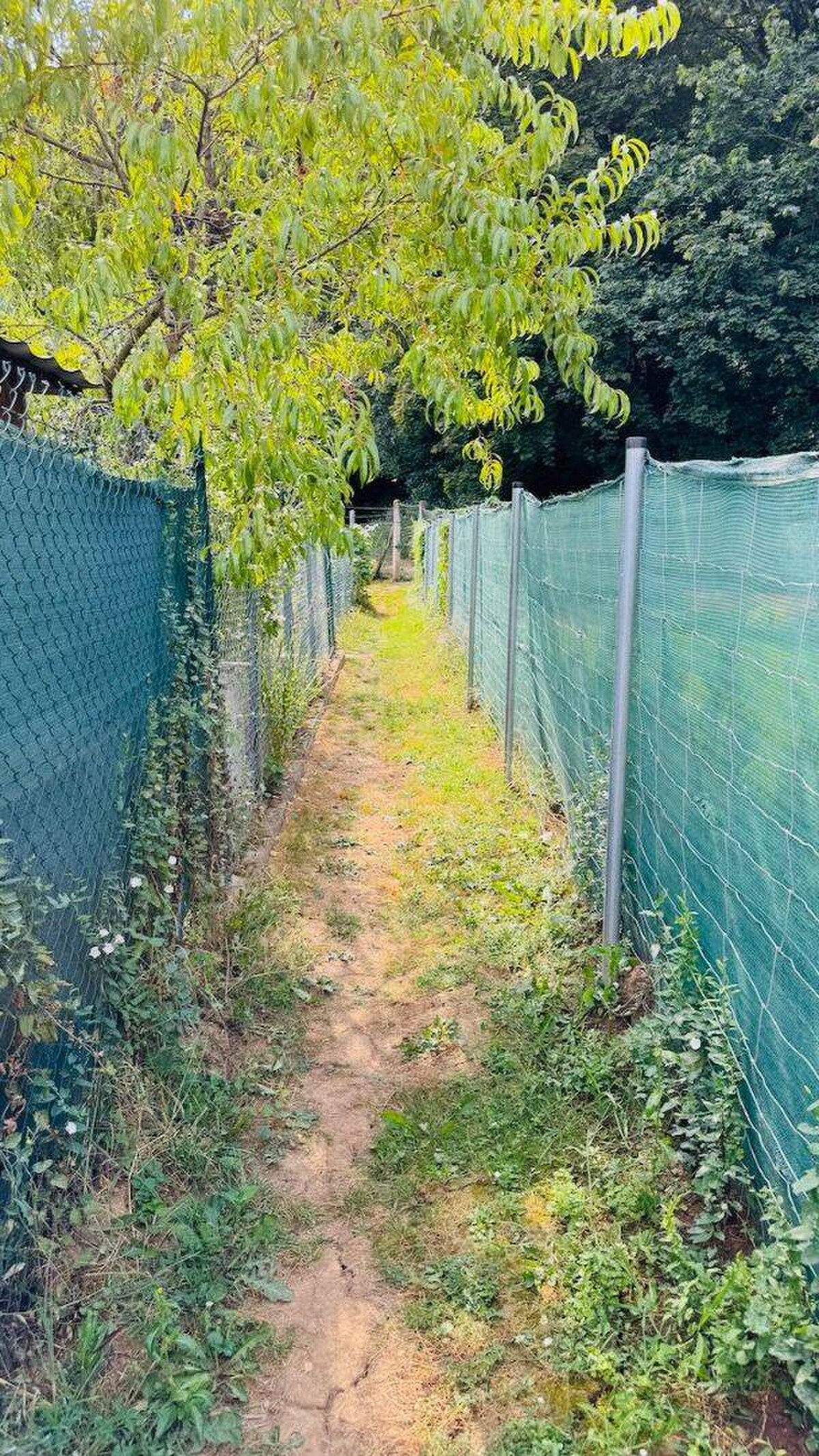 Na predaj záhradka 132 m2 Partizánske - pod Salašom — foto 10
