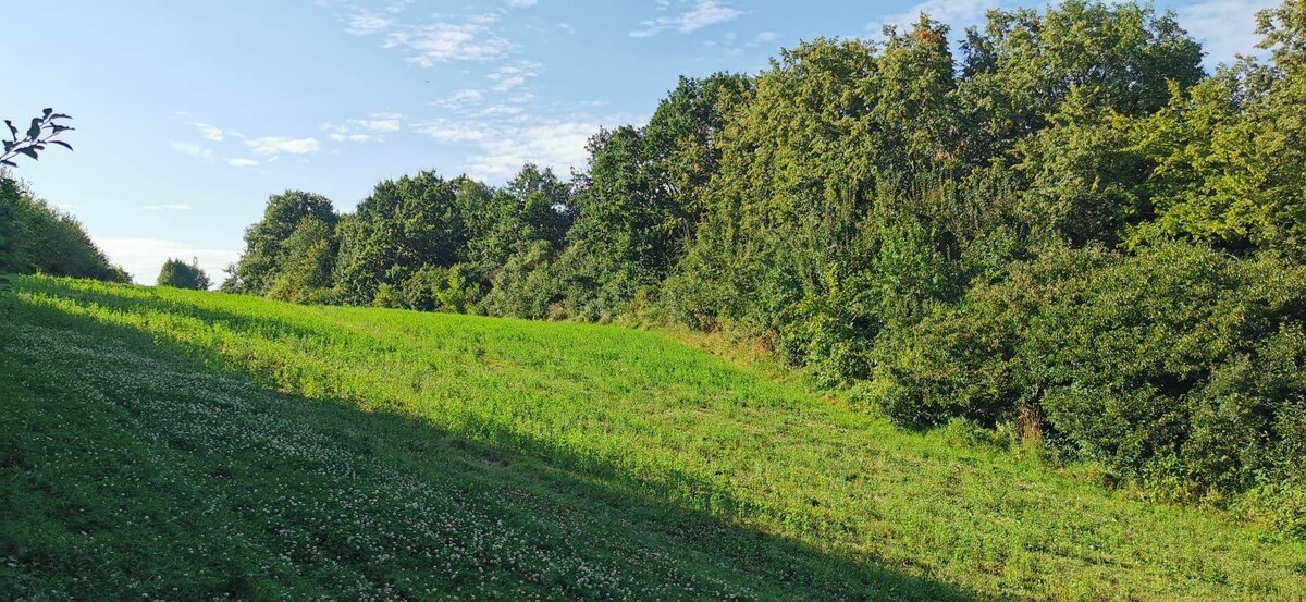 Rekreačný pozemok Nemšová — foto 3