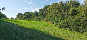 Rekreačný pozemok Nemšová — foto 3