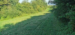 Rekreačný pozemok Nemšová — foto 4