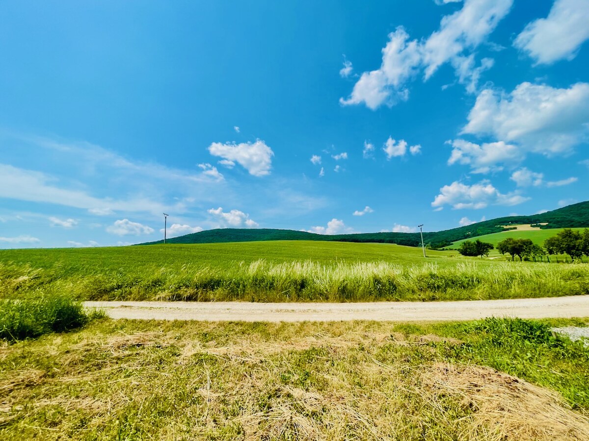 Na predaj orná pôda 9506 m2 Kolačno