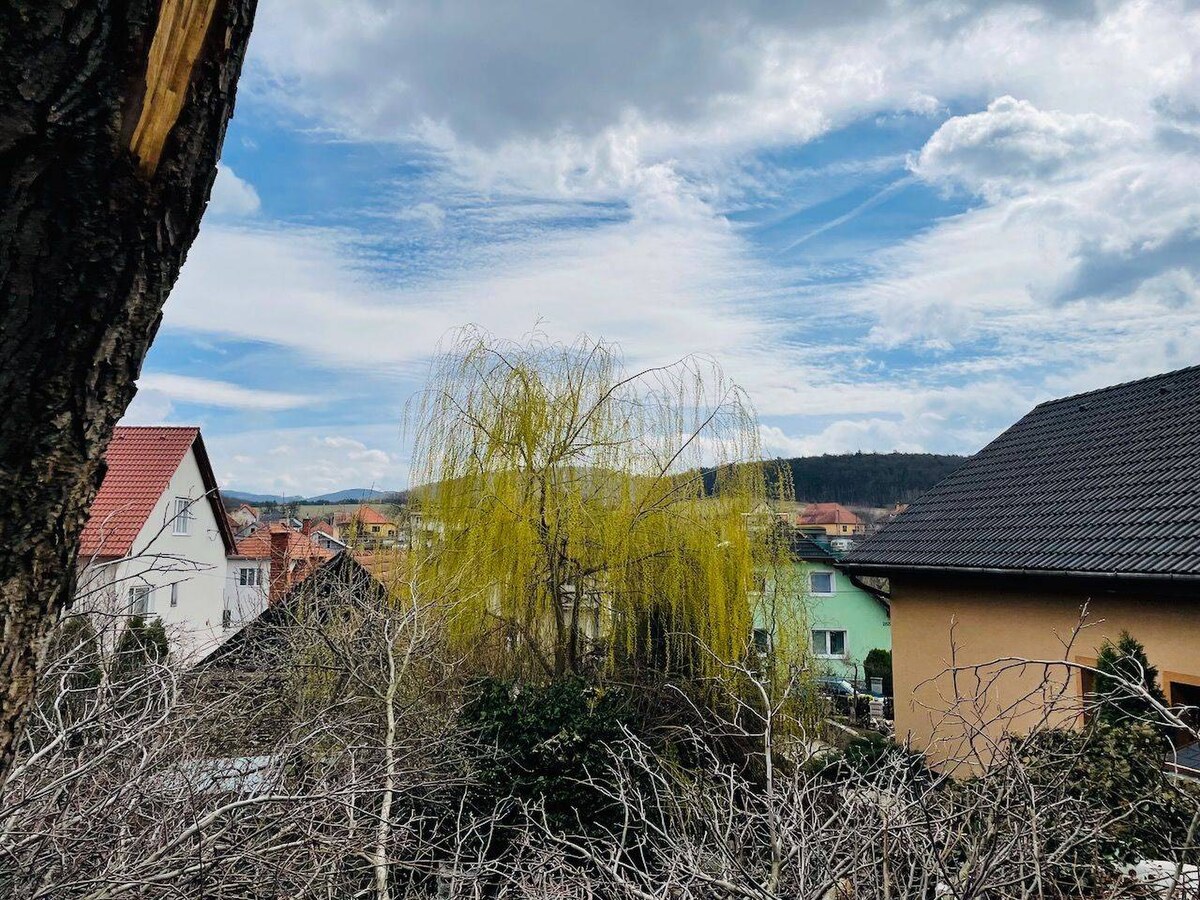 Na predaj pozemok v Kolačne — foto 6
