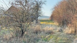 Na predaj rodinný dom v Kolačne pozemok 1395 m2 — foto 4