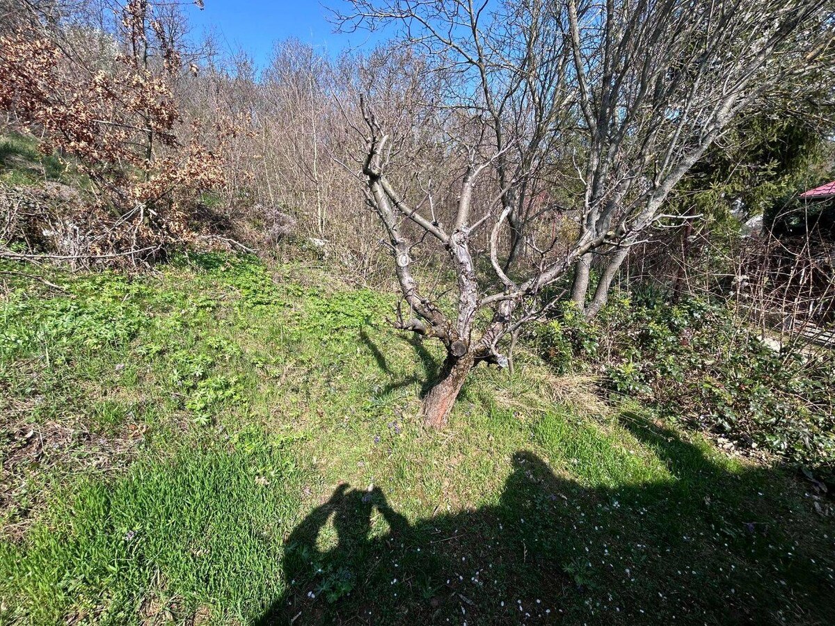 Predaj záhrady spolu s rekreačnou chatkou — foto 2