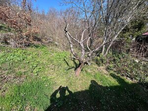 Predaj záhrady spolu s rekreačnou chatkou — foto 2