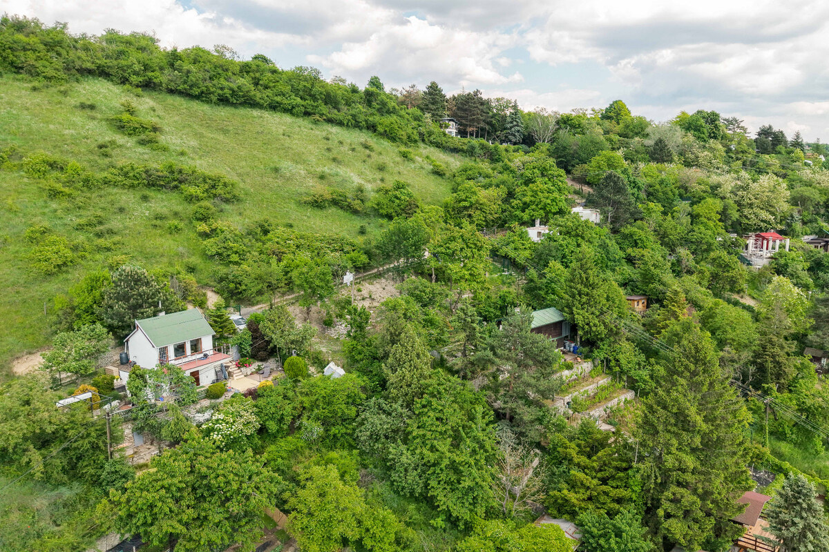 DEVÍN, záhrada 210 m2 s neopakovateľným VÝHĽADOM na HRAD DEVÍN a DUNAJ — foto 13