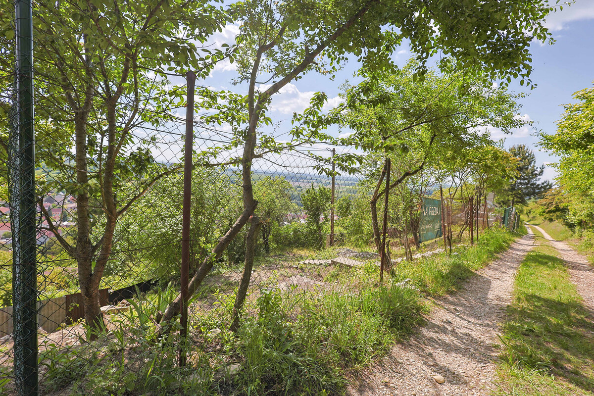 DEVÍN, záhrada 210 m2 s neopakovateľným VÝHĽADOM na HRAD DEVÍN a DUNAJ — foto 6