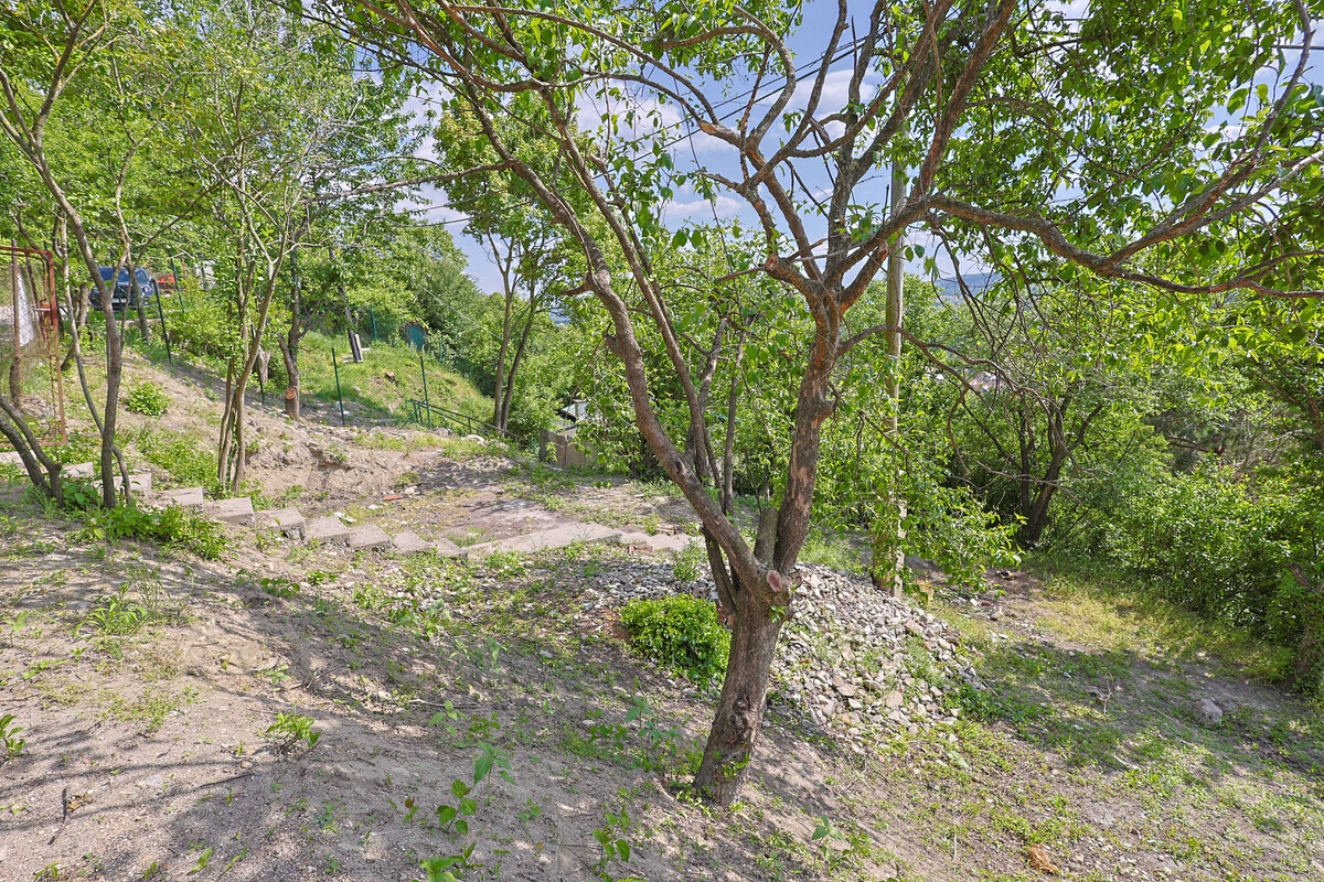 DEVÍN, záhrada 210 m2 s neopakovateľným VÝHĽADOM na HRAD DEVÍN a DUNAJ — foto 9