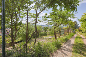 DEVÍN, záhrada 210 m2 s neopakovateľným VÝHĽADOM na HRAD DEVÍN a DUNAJ — foto 6