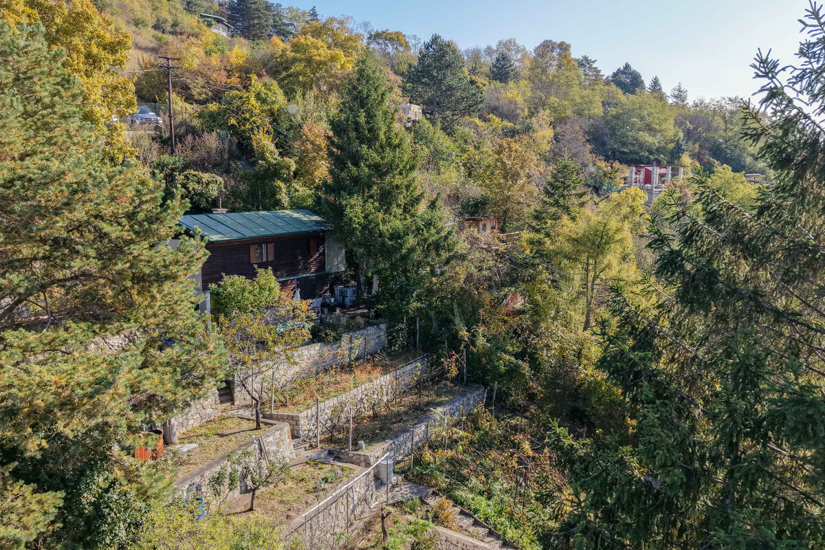 DEVÍN, záhrada 830 m2 s neopakovateľným VÝHĽADOM na HRAD DEVÍN a DUNAJ — foto 5