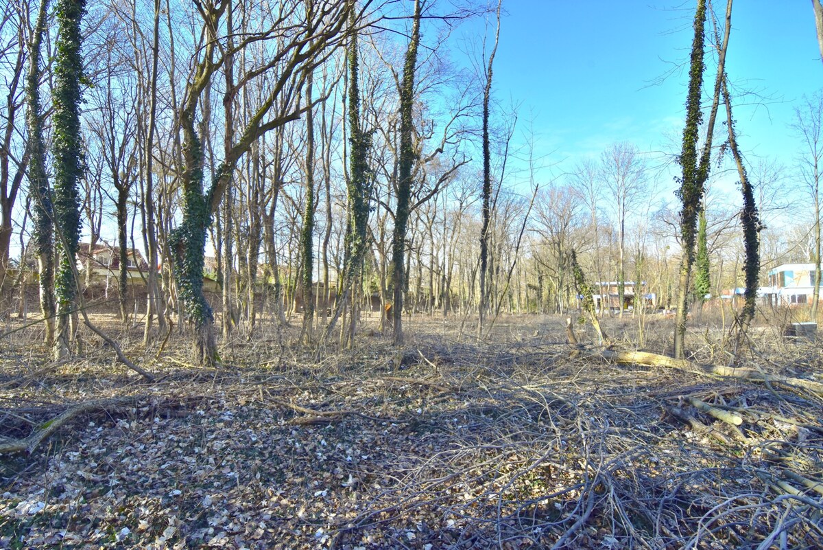 RUSOVCE, stavebný pozemok 809 m2 – vyhľadávaná časť pri lesoparku — foto 6