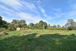 DEVÍNSKE JAZERO, pozemok 2515 m2 – krásne prírodné prostredie — foto 8
