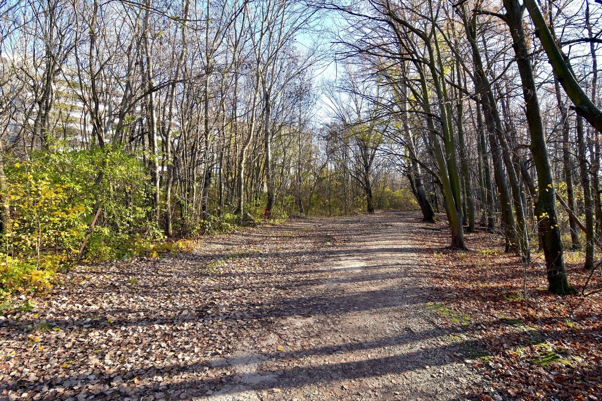 ANTOLSKÁ, 2-i byt, 54 m2 – novostavba REZIDENCIA DRAŽDIAK, zariadený — foto 18