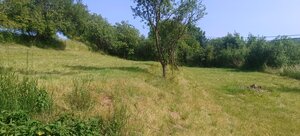 MAXFIN REAL - predaj rodinného domu -  Kriváň — foto 3