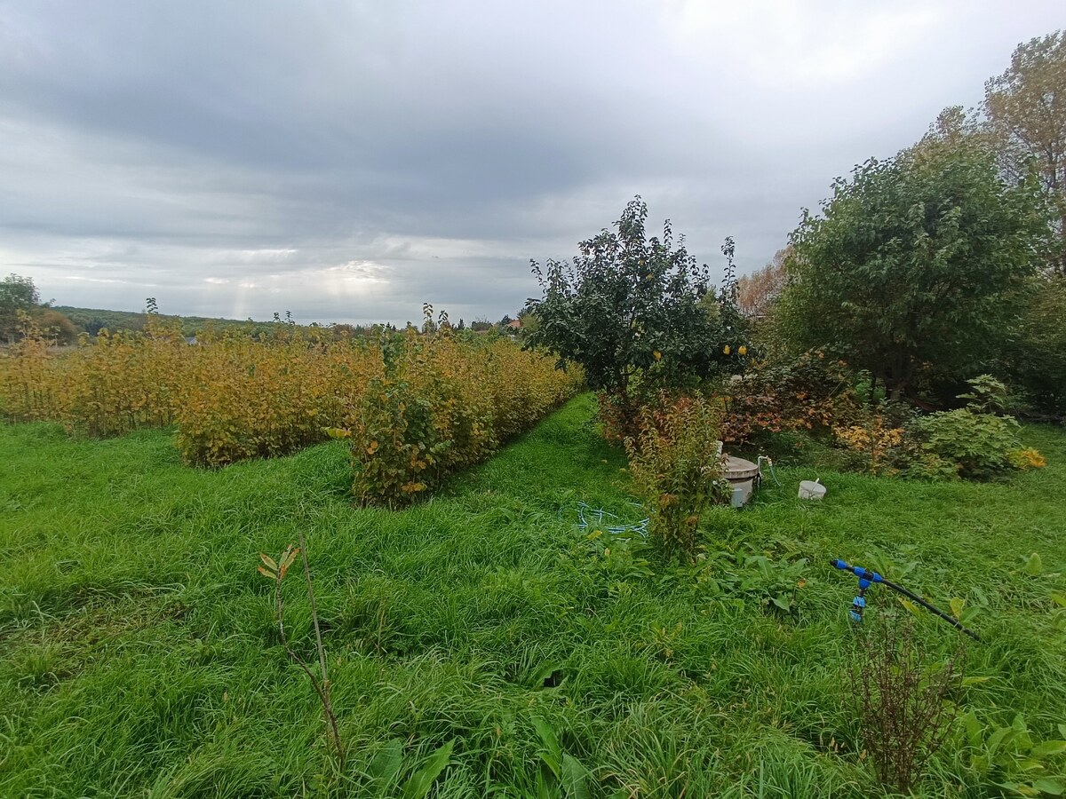 Predaj pozemku na stavbu rodinného domu — foto 6