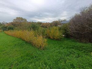 Predaj pozemku na stavbu rodinného domu — foto 3