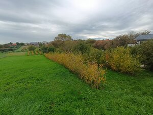 Predaj pozemku na stavbu rodinného domu — foto 4
