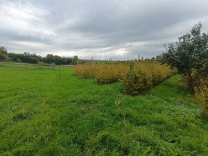 Predaj pozemku na stavbu rodinného domu — foto 5