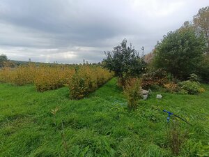 Predaj pozemku na stavbu rodinného domu — foto 6