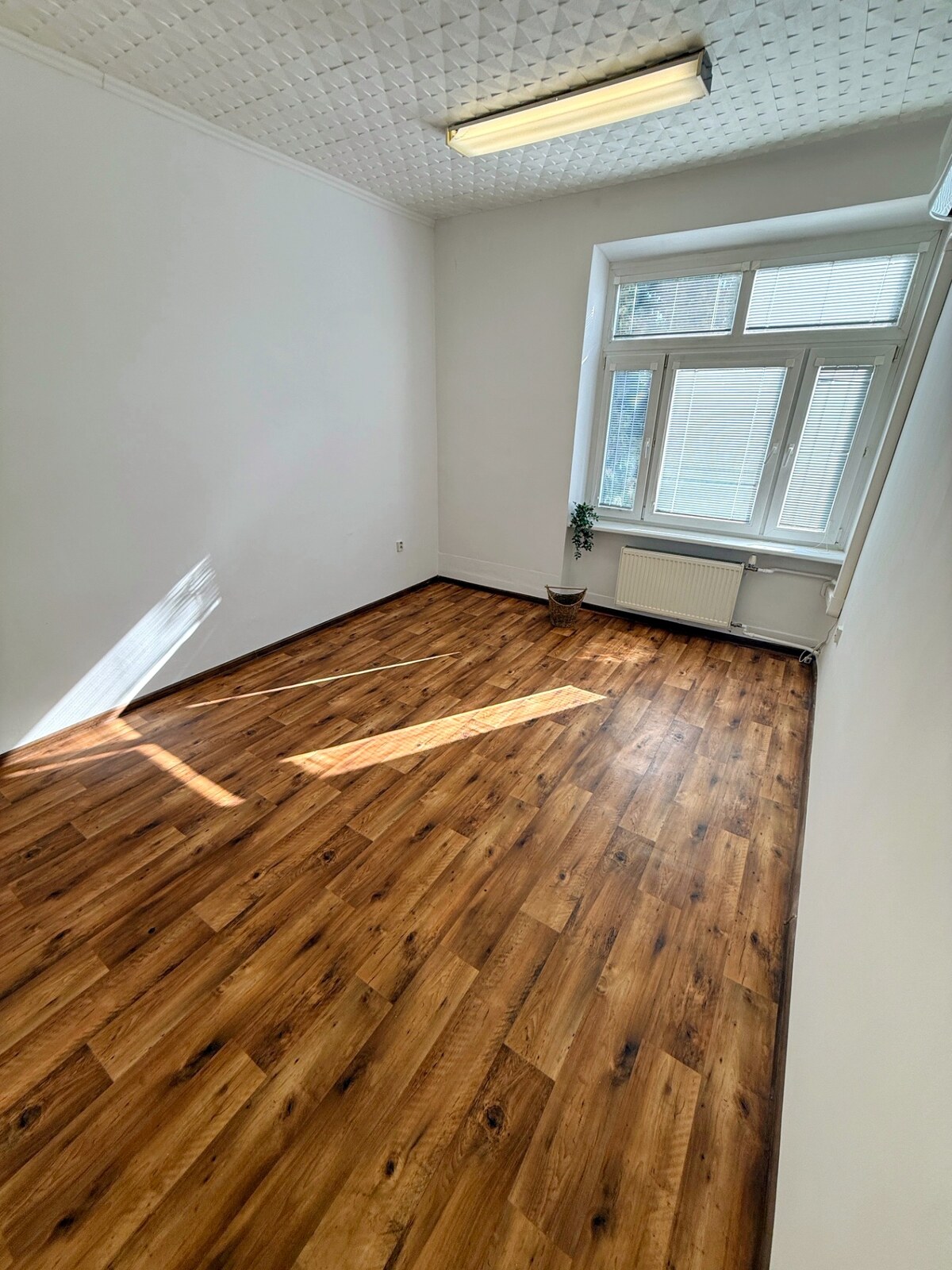 PRENÁJOM PRIESTOROV V PRIEVIDZI – 7 €/m² VRÁTANE ENERGIÍ! — foto 6