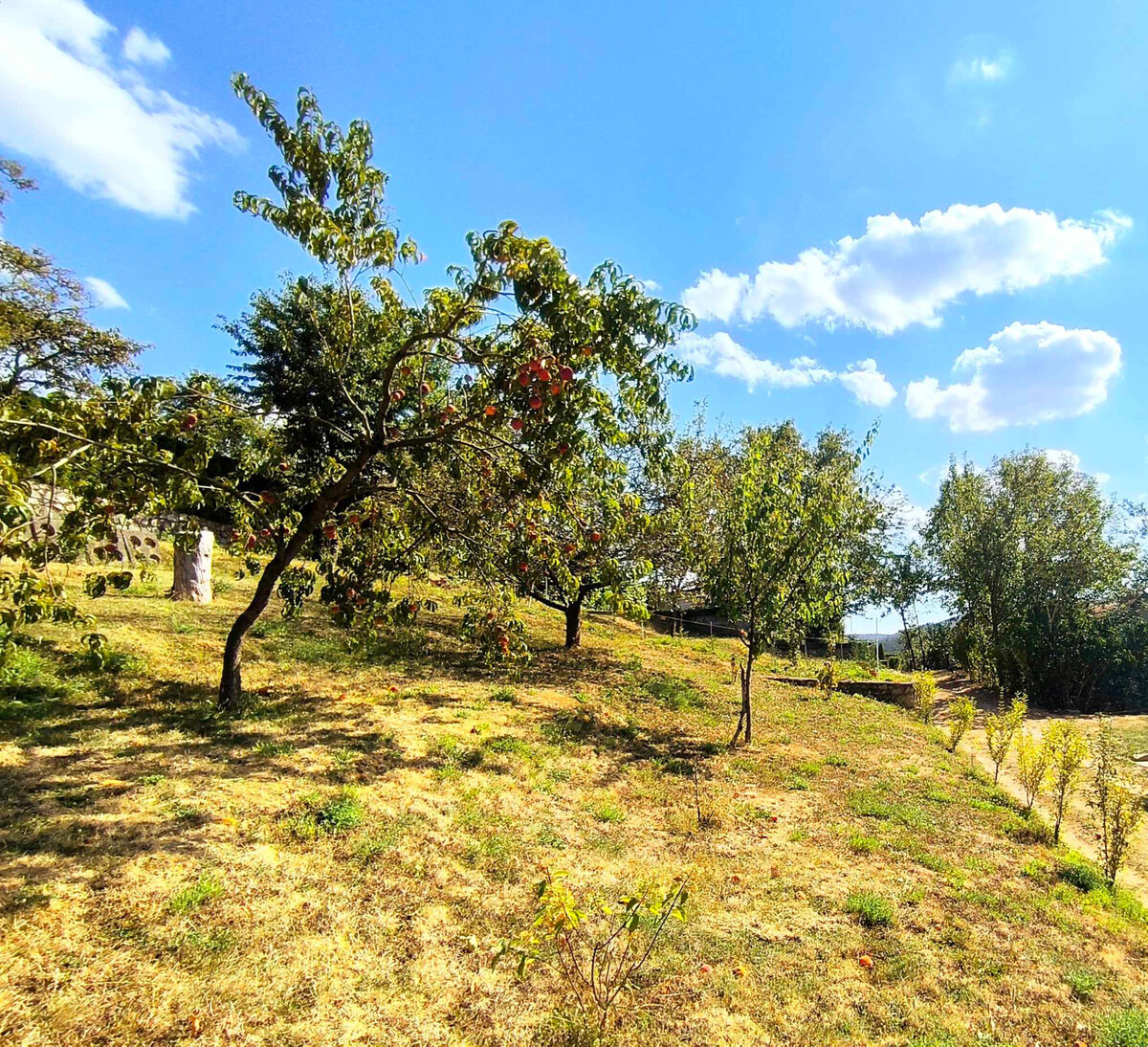 ‼️ ZÁHRADNÁ CHATKA S POZEMKOM ( 378 m2 ) NA PREDAJ, BRODZANY - PE ‼️ — foto 18