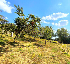 ‼️ ZÁHRADNÁ CHATKA S POZEMKOM ( 378 m2 ) NA PREDAJ, BRODZANY - PE ‼️ — foto 18